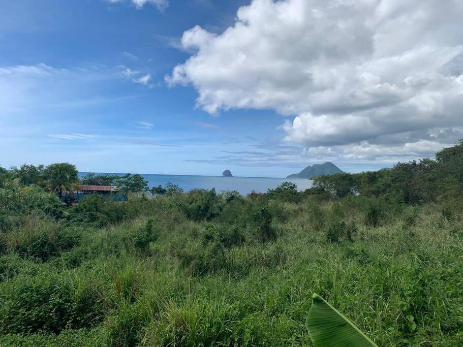 Heritage Creole 1 Sainte-Luce Buitenkant foto